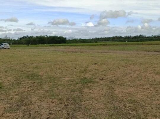 Farm lot for sale