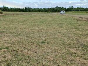 Affordable Farm lot in Tiaong Quezon