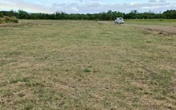 Affordable Farm lot in Tiaong Quezon