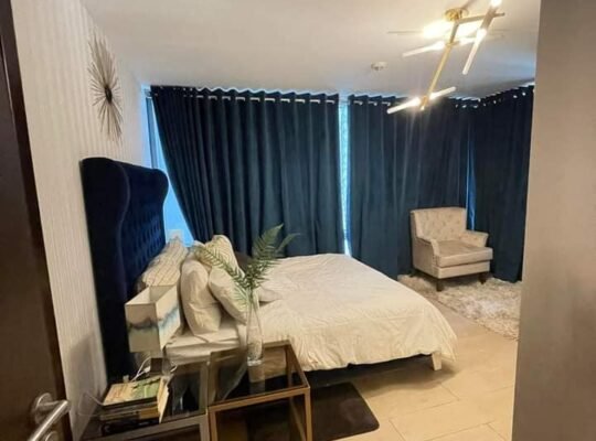 Two central condominium for rent