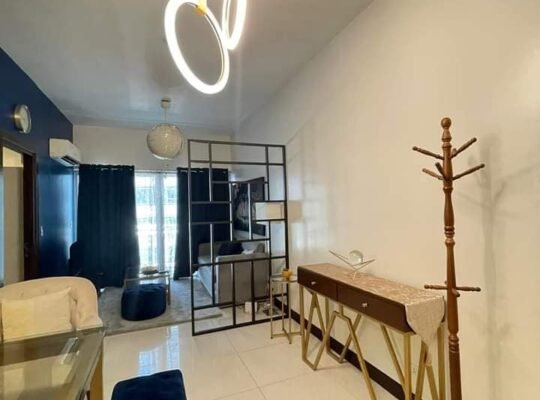 Two central condominium for rent