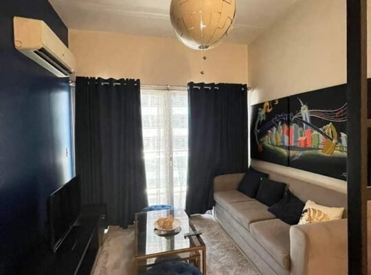 Two central condominium for rent