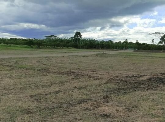 Hulugan na Farm Lot sa Quezon