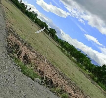 Hulugan na Farm Lot sa Quezon