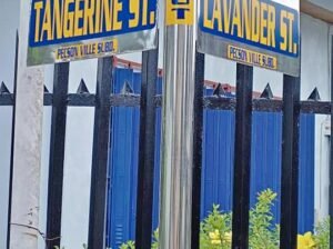 Peckson Ville Lot for sale Walking distance to Sam San Jose Del Monte