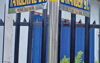 Peckson Ville Lot for sale Walking distance to Sam San Jose Del Monte