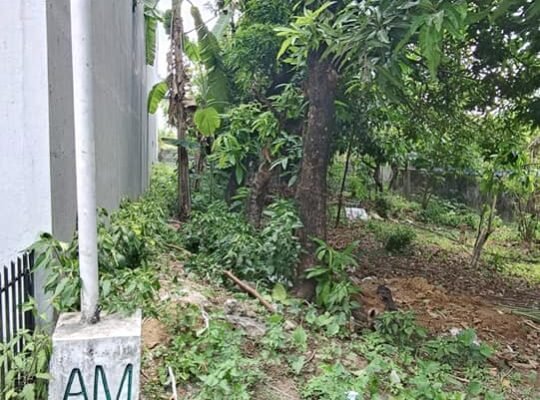 Peckson Ville Lot for sale Walking distance to Sam San Jose Del Monte