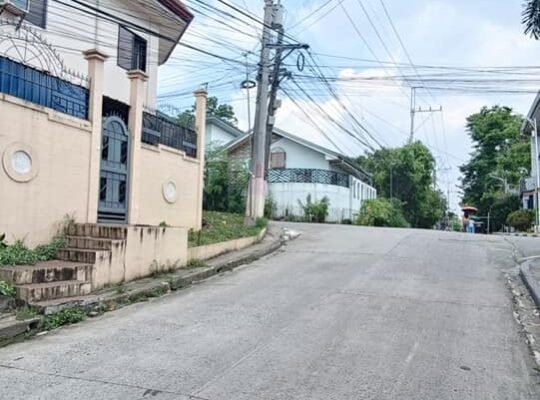 Peckson Ville Lot for sale Walking distance to Sam San Jose Del Monte