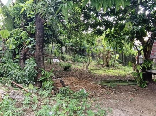 Peckson Ville Lot for sale Walking distance to Sam San Jose Del Monte