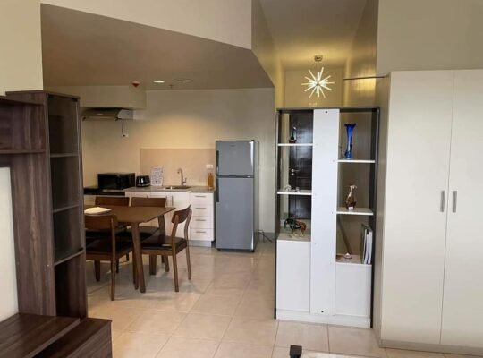 Condo unit Beside Quezon City Hall and Near UP