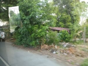 Commercial Lot for Sale Guimba Nueva Ecija near Town Proper