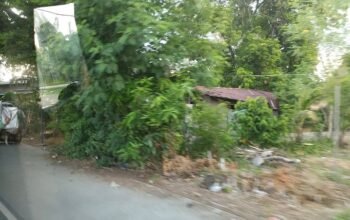 Commercial Lot for Sale Guimba Nueva Ecija near Town Proper