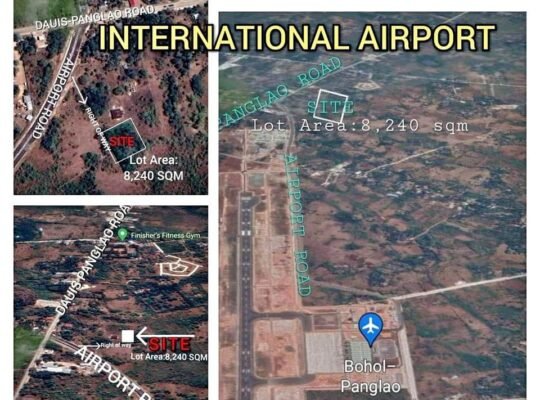 Panglao Lot For Sale Near Airport