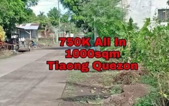 Farm lot for Sale