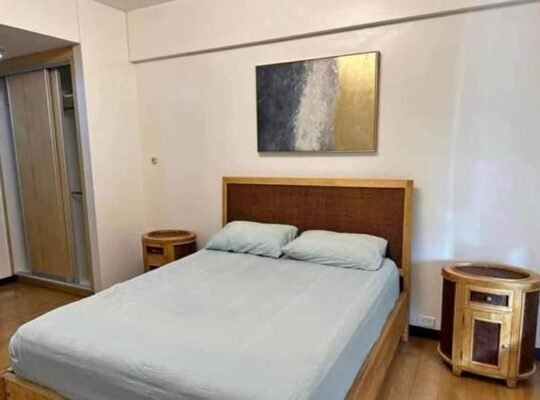 Bgc for rent one serendra