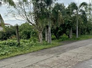 Farm Lot along Brgy Road