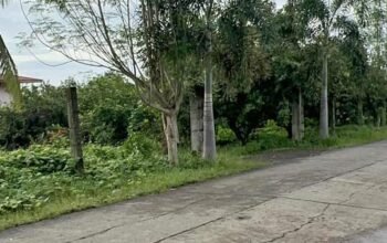 Farm Lot along Brgy Road