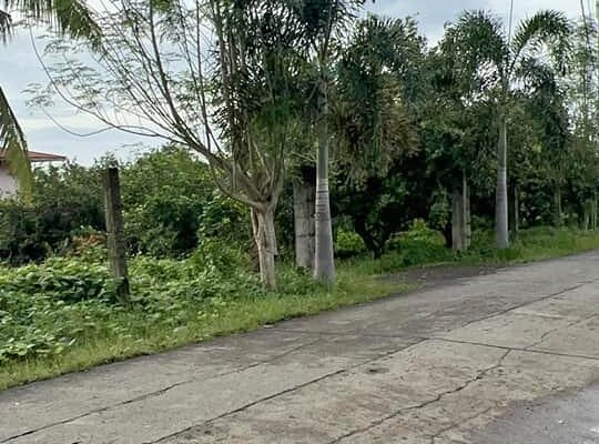 Farm Lot along Brgy Road