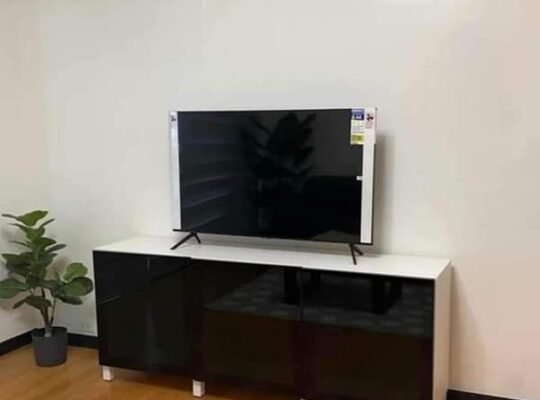 Bgc for rent one serendra