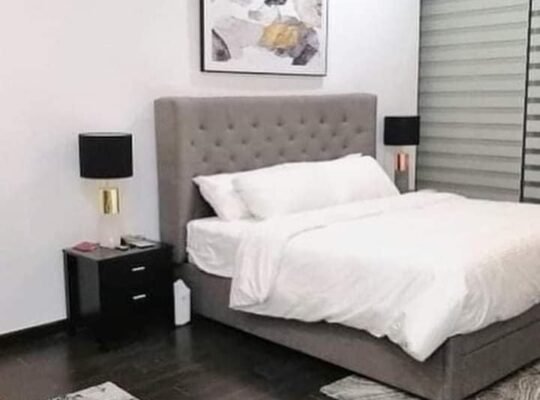 Trump tower for rent