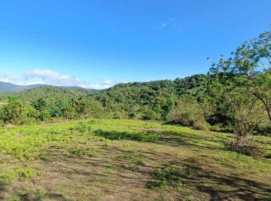 Farm Lot goof for Glamping Site and Resort