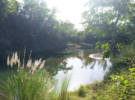 Farm Lot goof for Glamping Site and Resort