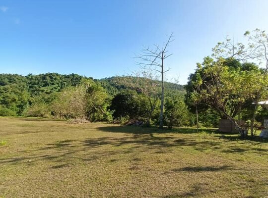 Farm Lot goof for Glamping Site and Resort