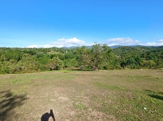 Farm Lot goof for Glamping Site and Resort