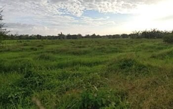 Mini Farm Lot
