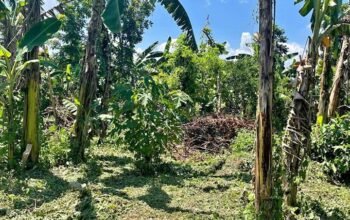 Lot for sale 948sqm