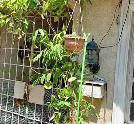 2 Beds 2 Baths Apartment/Condo