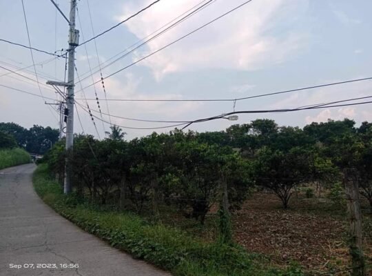 Mini Farm Lot in San Antonio Quezon