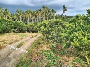 Abot kaya na Farm Lot sa San Antonio Quezon