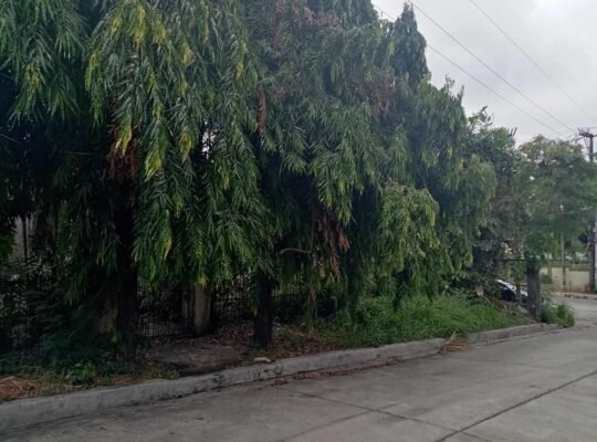 Building for sale near FEU Hospital Fairview