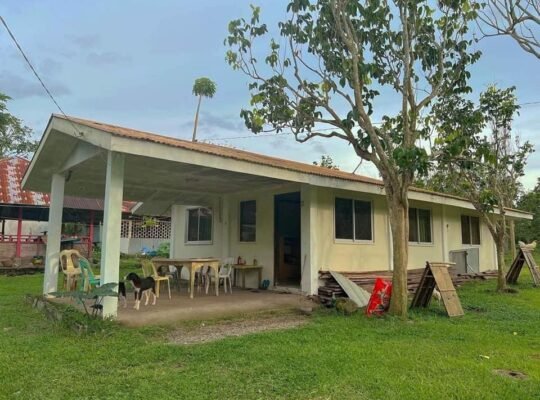 House and Lot for sale 6000 sqm lot area