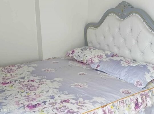 Harbour Park residences for rent