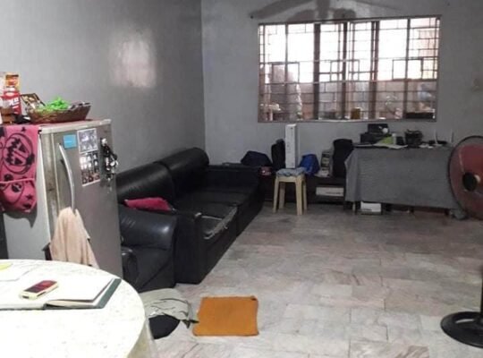 House and Lot for Sale Visayas Ave