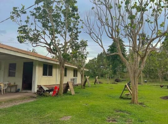 House and Lot for sale 6000 sqm lot area