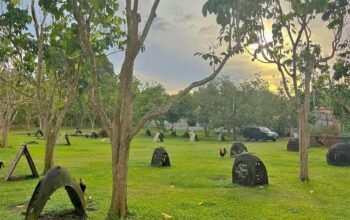 House and Lot for sale 6000 sqm lot area