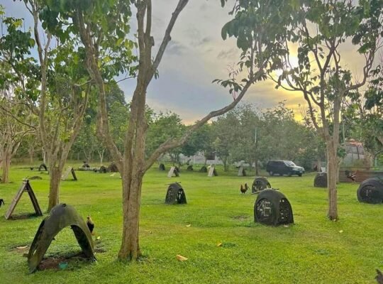 House and Lot for sale 6000 sqm lot area