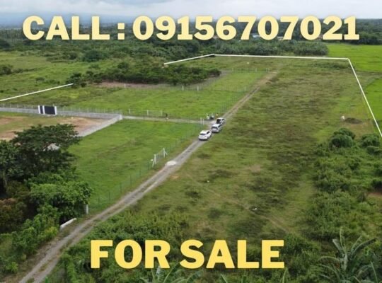 950k Farm lot in Tiaong Quezon