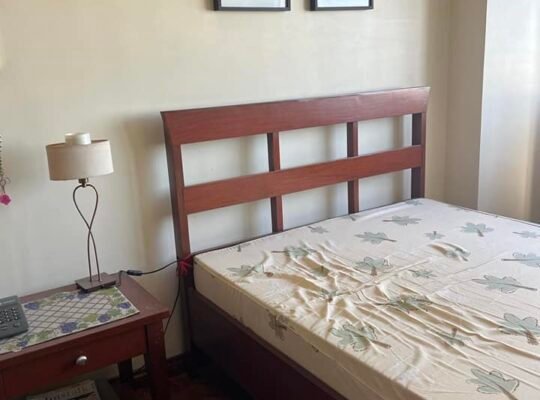 The columns for rent with parking