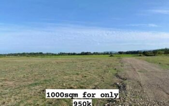 Murang Farm Lot sa Tiaong Quezon