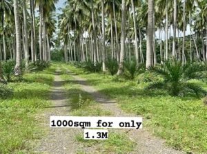 Direct Owner Farm Lot