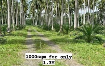 Direct Owner Farm Lot