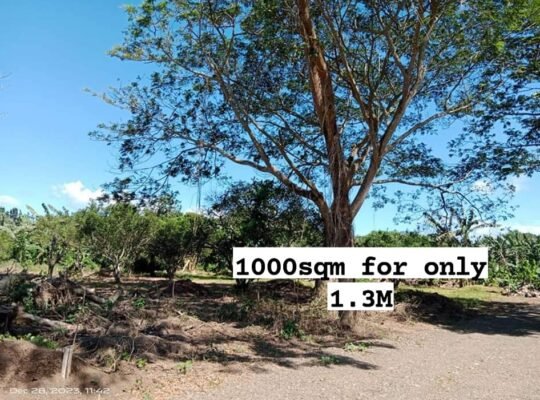 Murang Farm lot sa Tiaong Quezon