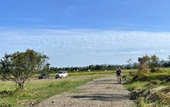 3,300sqm Farm Lot sa Tiaong Quezon