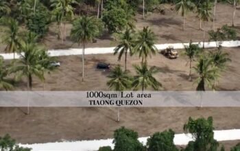 Mini Farm Free Transfer of title