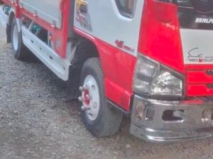 Elf for saleElf for sale