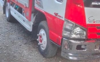 Elf for saleElf for sale